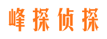 平乡市侦探